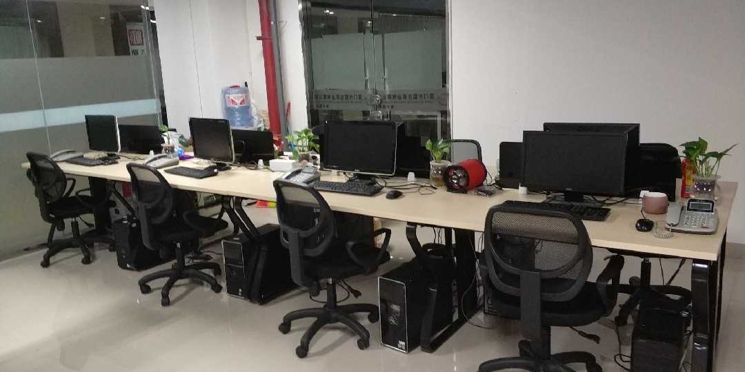 創新驅動未來 點晴網絡科技的數字化轉型之路